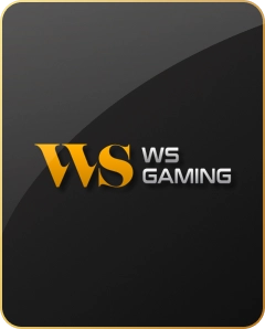 wssport-game-provider-icon